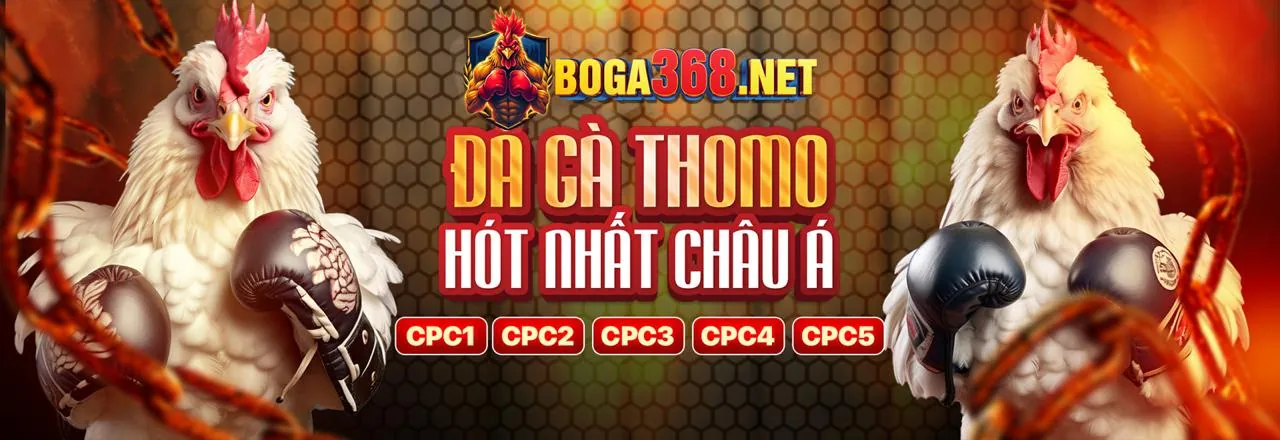 Cá cược thể thao sôi động tại mb5 link mới